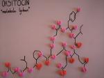 Oksitocin - molekula 
