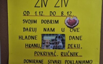 Međunarodni dan volontera