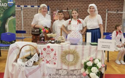 Ponosni smo – Mala virovska prkačijada